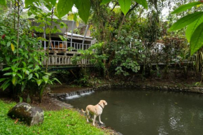 Rancho Margot Sustainable & Self Sufficient Eco Lodge